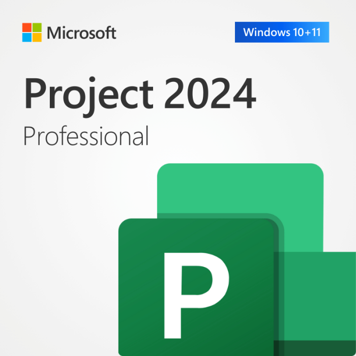Microsoft Project Professional 2024 | Full Version | Genuine Lifetime License | AUS STOCK - INFINITE-ITECH