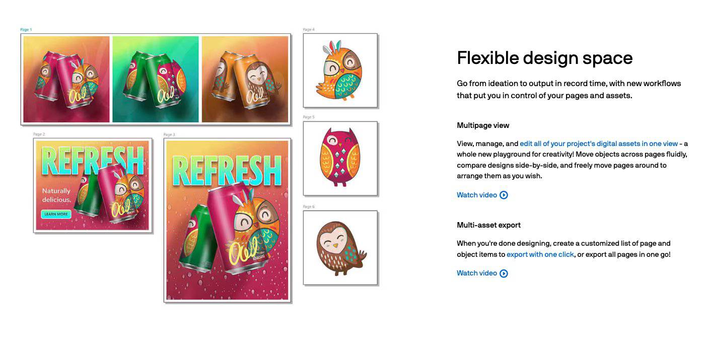 CorelDRAW Graphics Suite 2024 | Full Version | Genuine Lifetime License | Australian Stock - INFINITE-ITECH