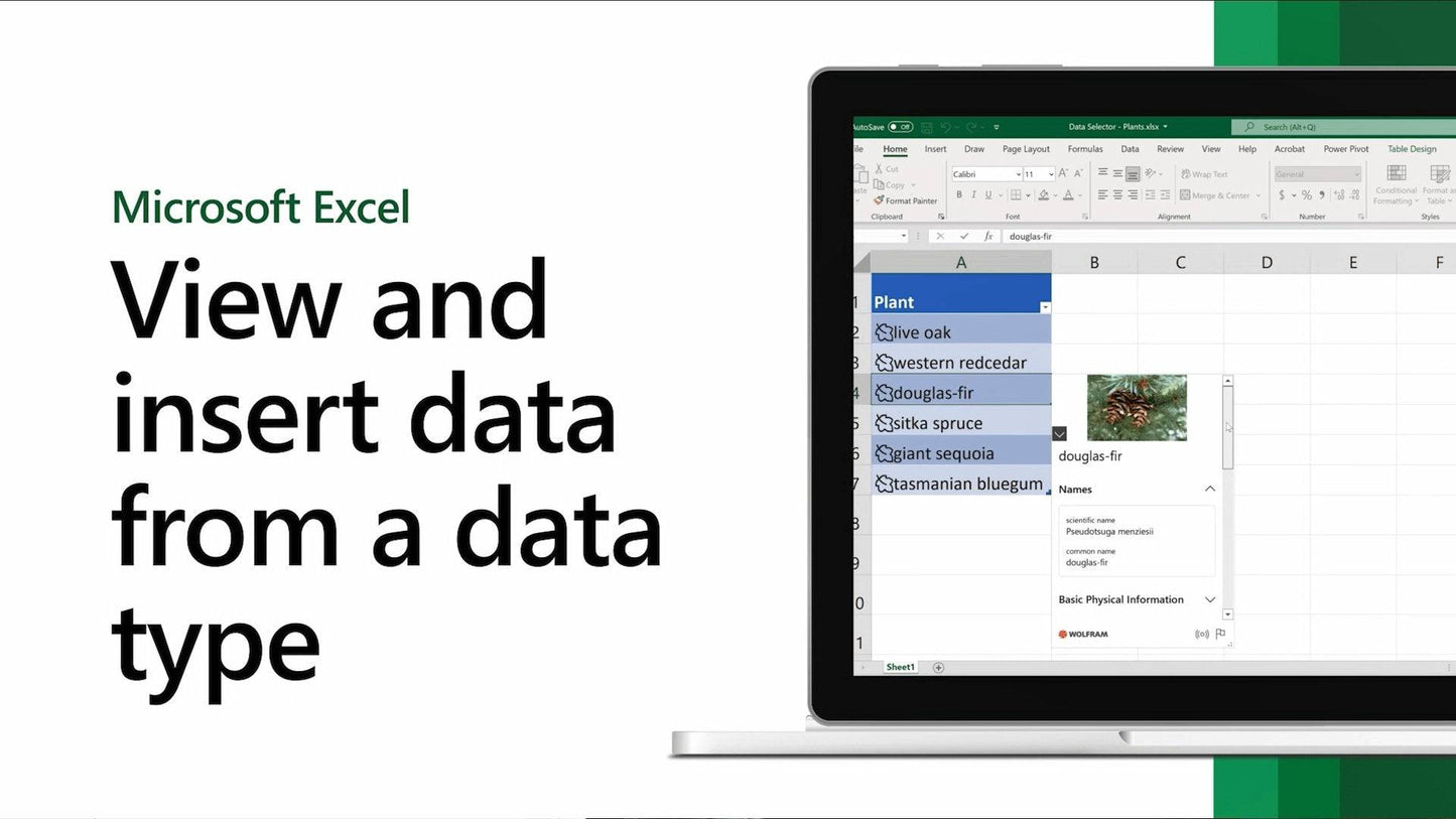 Microsoft Excel 2021 | License Activation Key for 1 PC or MAC | Full Version | Australian Stock - INFINITE-ITECH