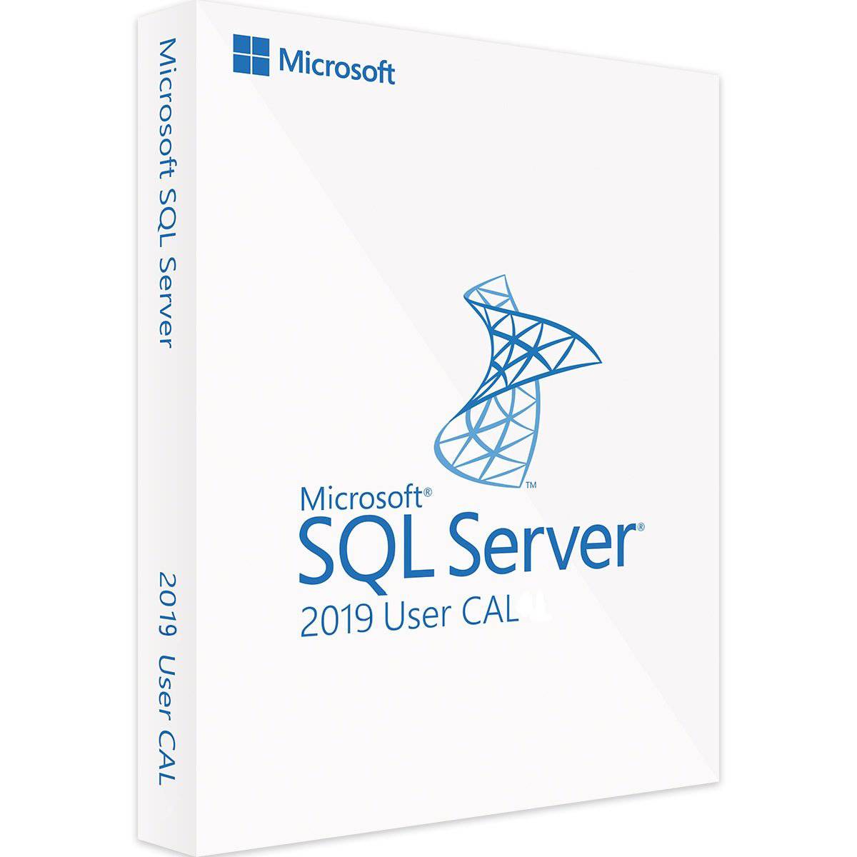 Microsoft SQL Server 2019 Standard - User Client Access License | Australian Stock - INFINITE-ITECH