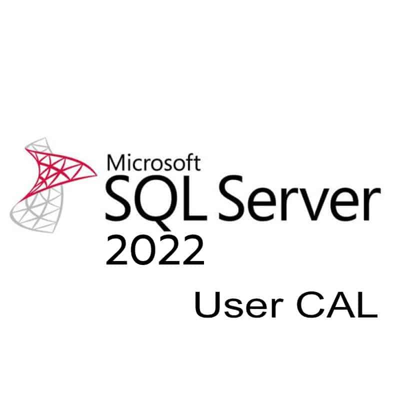 Microsoft SQL Server 2022 Standard - User Client Access License | Australian Stock - INFINITE-ITECH
